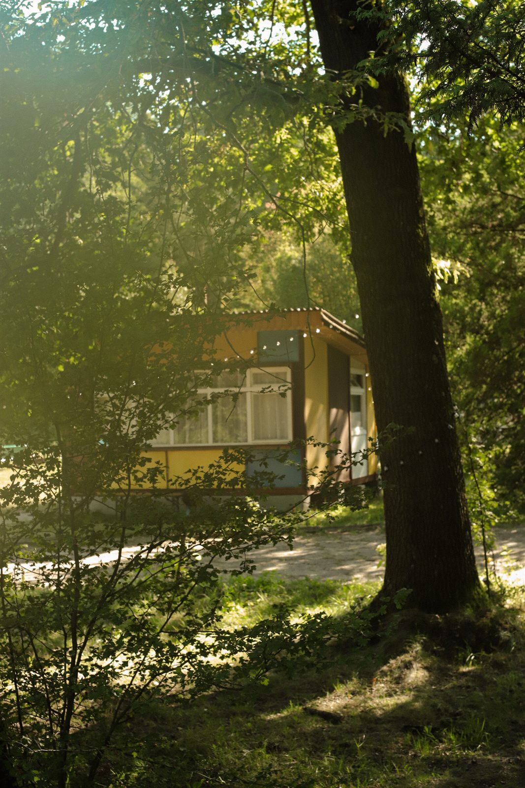 Żółty domek w wieczornym słońcu